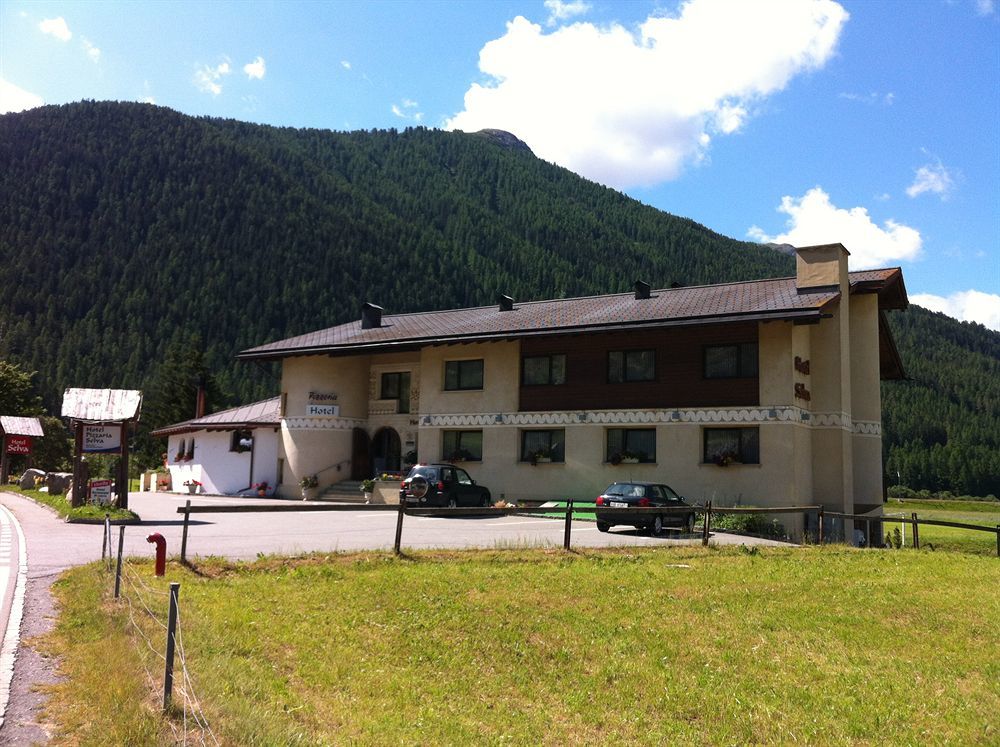 Hotel Pizzeria Selva زيرنيز المظهر الخارجي الصورة